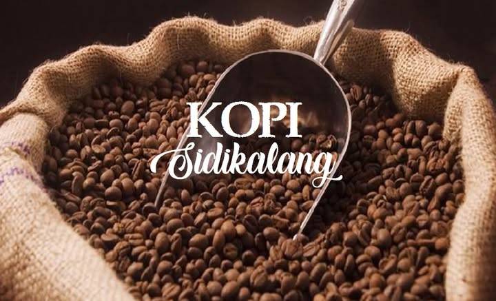 Header Slider 2